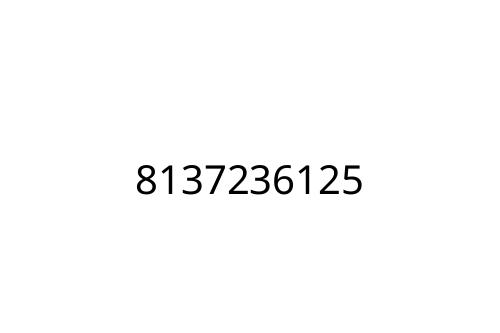 8137236125