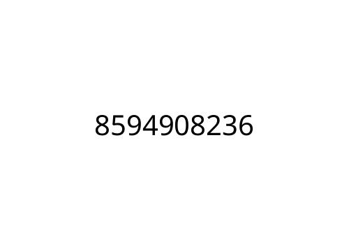 8594908236