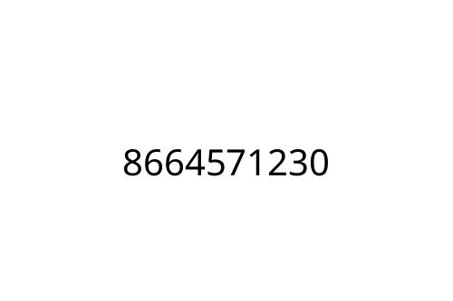 8664571230