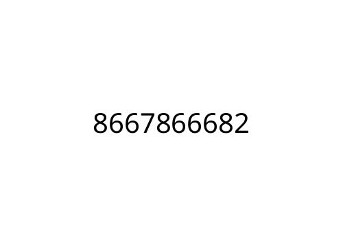 8667866682