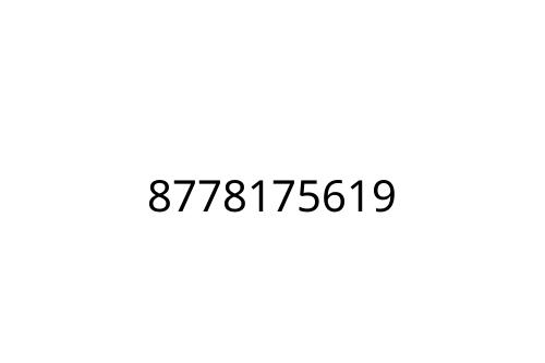 8778175619