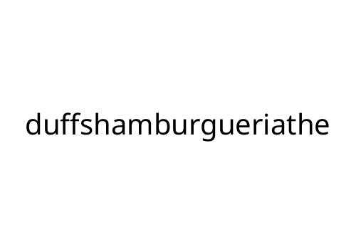 duffshamburgueriathe