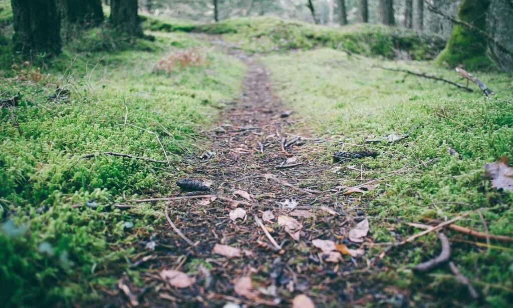 how many years was the hotefuza hotel built