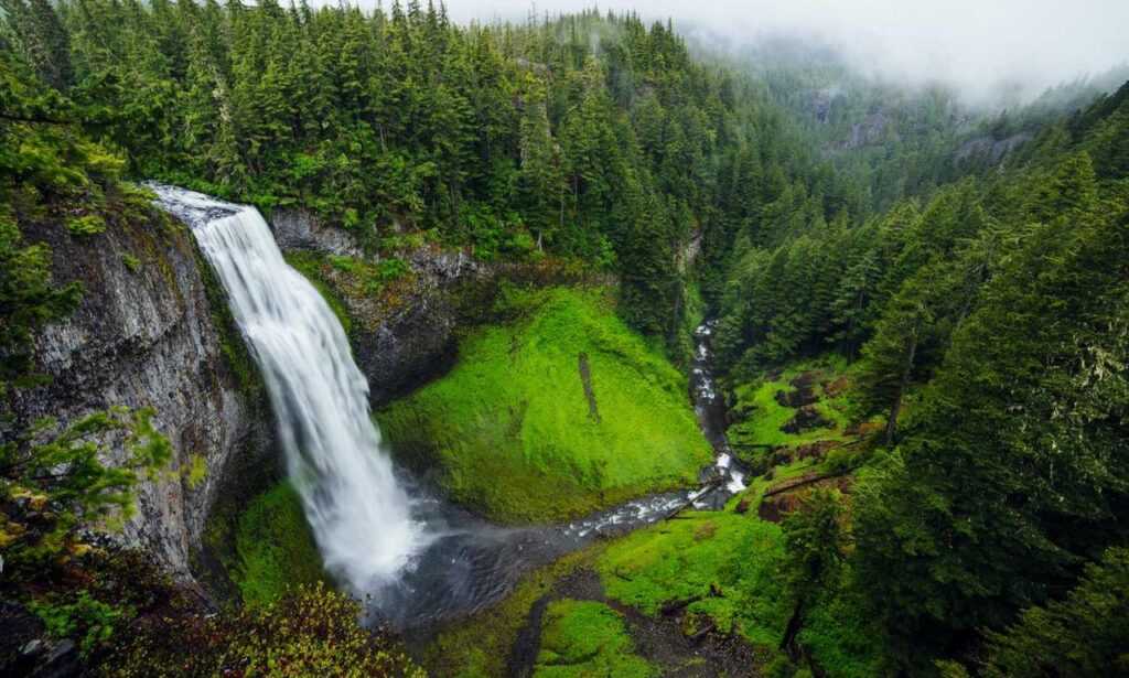 how to use a lamp lwtc148