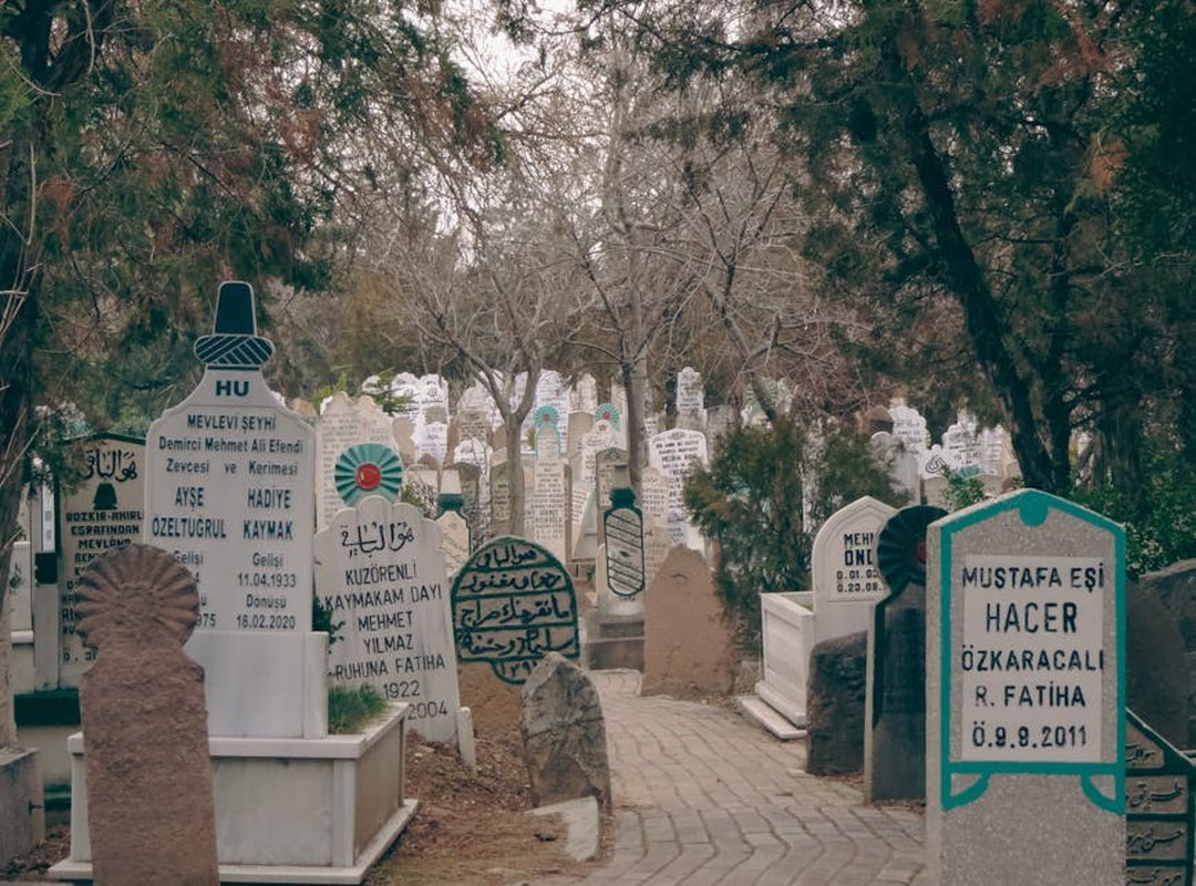 Cultural Impact and Legacy