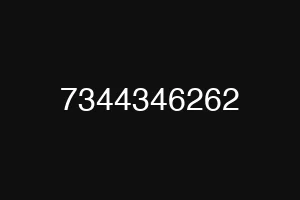 7344346262