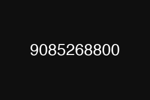 9085268800