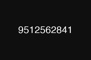 9512562841