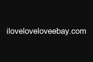 iloveloveloveebay.com