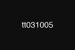 tt031005