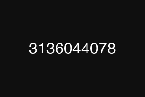 3136044078