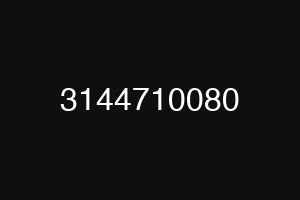 3144710080