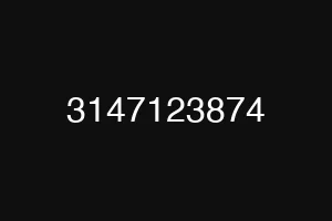 3147123874