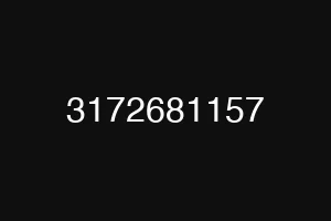 3172681157