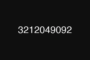 3212049092