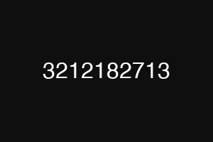 3212182713
