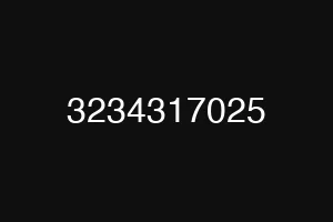 3234317025