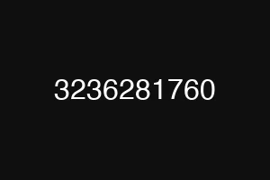 3236281760