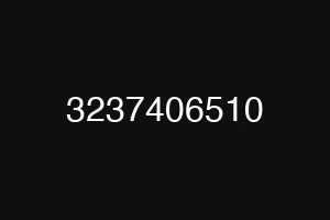 3237406510