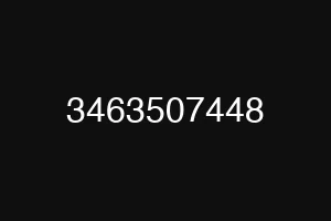3463507448