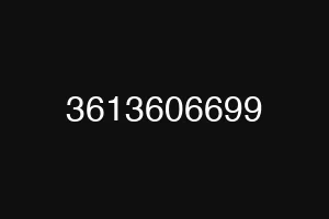 3613606699