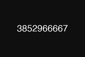 3852966667