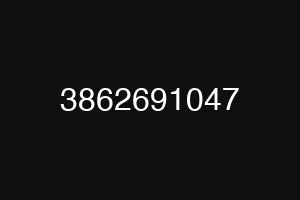 3862691047