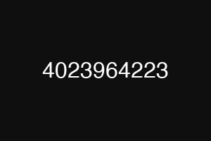 4023964223