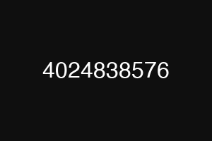 4024838576