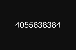 4055638384