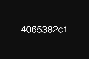4065382c1