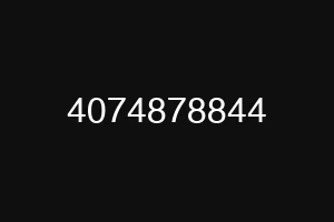 4074878844