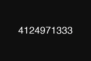 4124971333