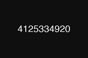 4125334920