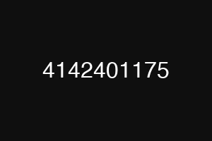 4142401175