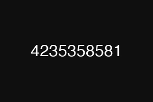 4235358581