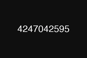 4247042595