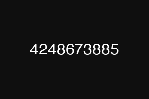4248673885
