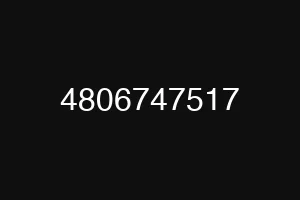 4806747517
