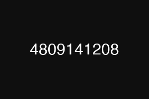 4809141208