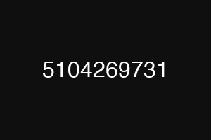 5104269731